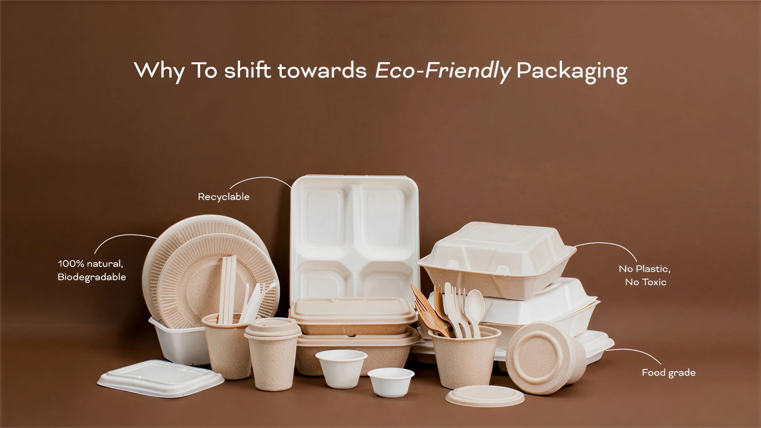 Vanta Exim range of bagasse and paper food packaging - plates, bowls, cups, wooden cutlery and clamshell containers on a brown backdrop