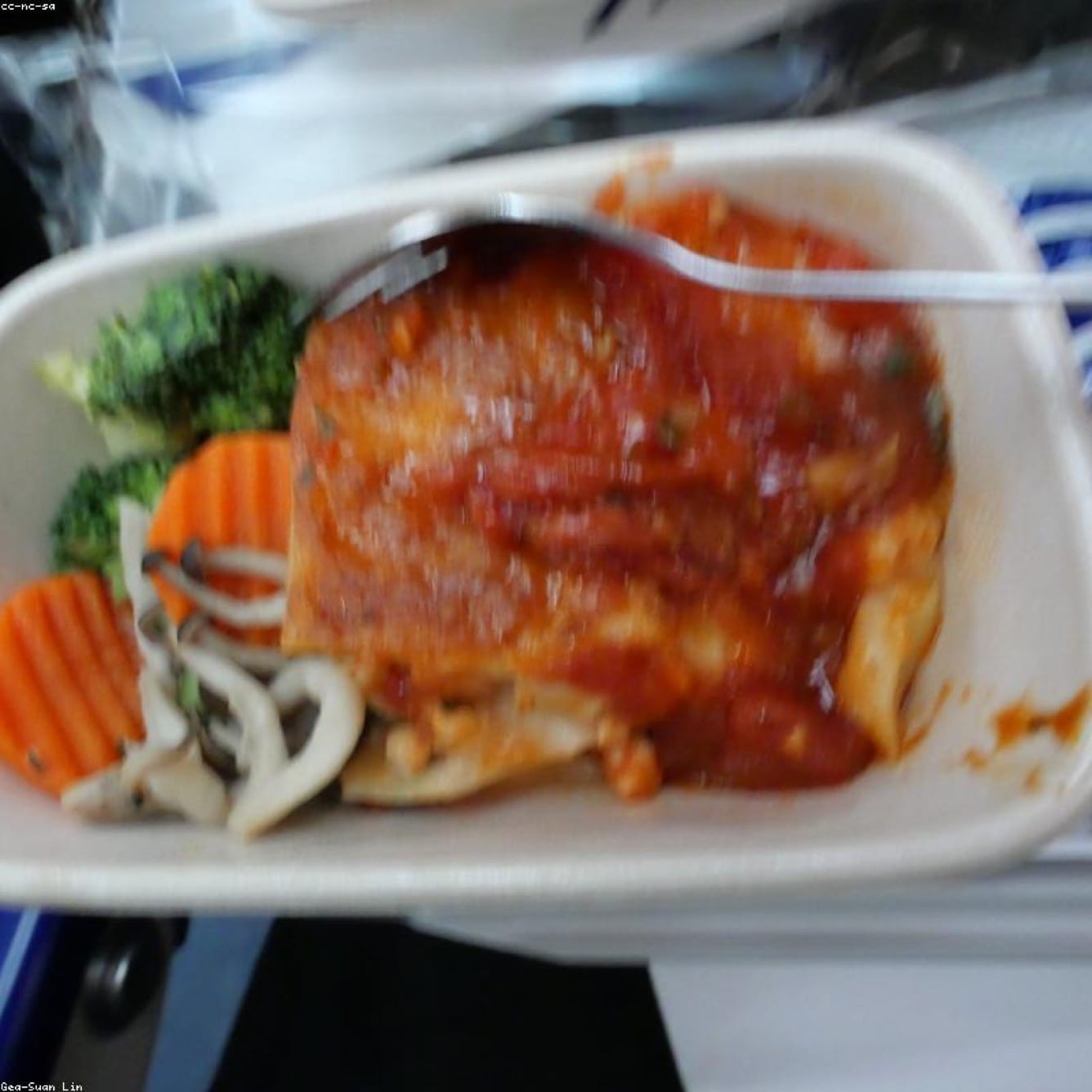 Lightweight paper trays on an inflight meal service tray