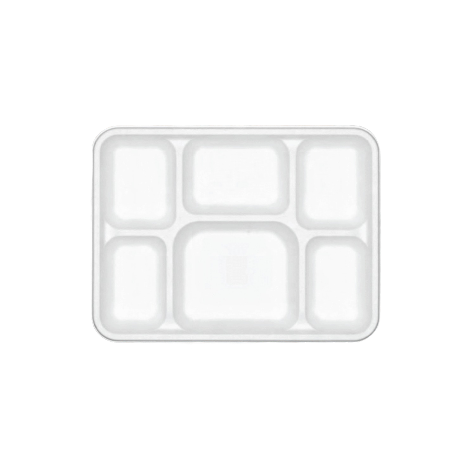6 CP Rectangular Tray (12") - product photo 1