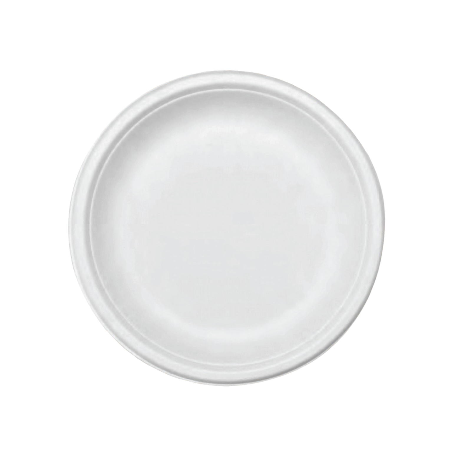 10" Round Plate (Plain) - product photo 1