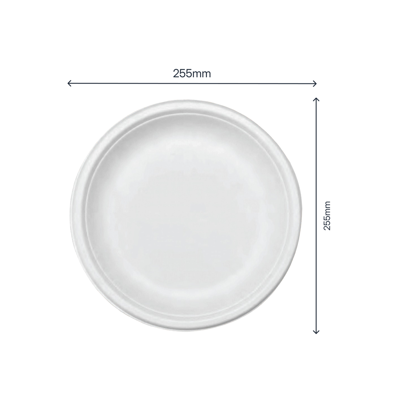 10" Round Plate (Plain) - product photo 2