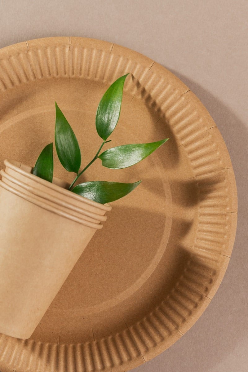 A moulded paper plate with a fresh green leaf
